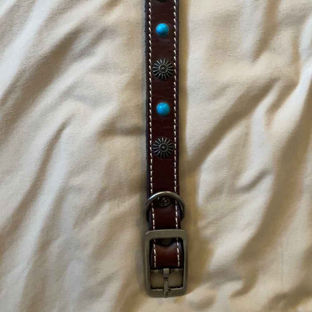 BRAND NEW Embellished Leather Dog Collar